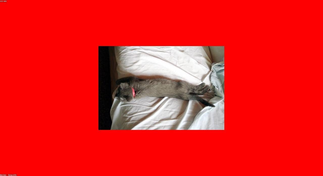 Test_siGxdMstSi