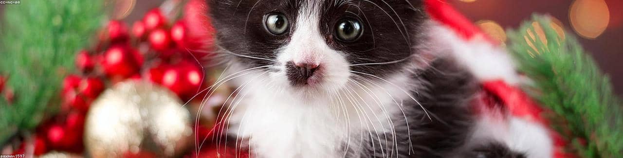 Test_xaIhSSeBfs